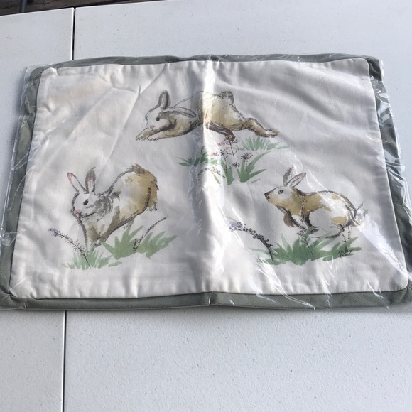 Pottery Barn Other - Pottery Barn hoppy bunny pillow cover